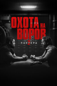 Охота на воров 2: Пантера